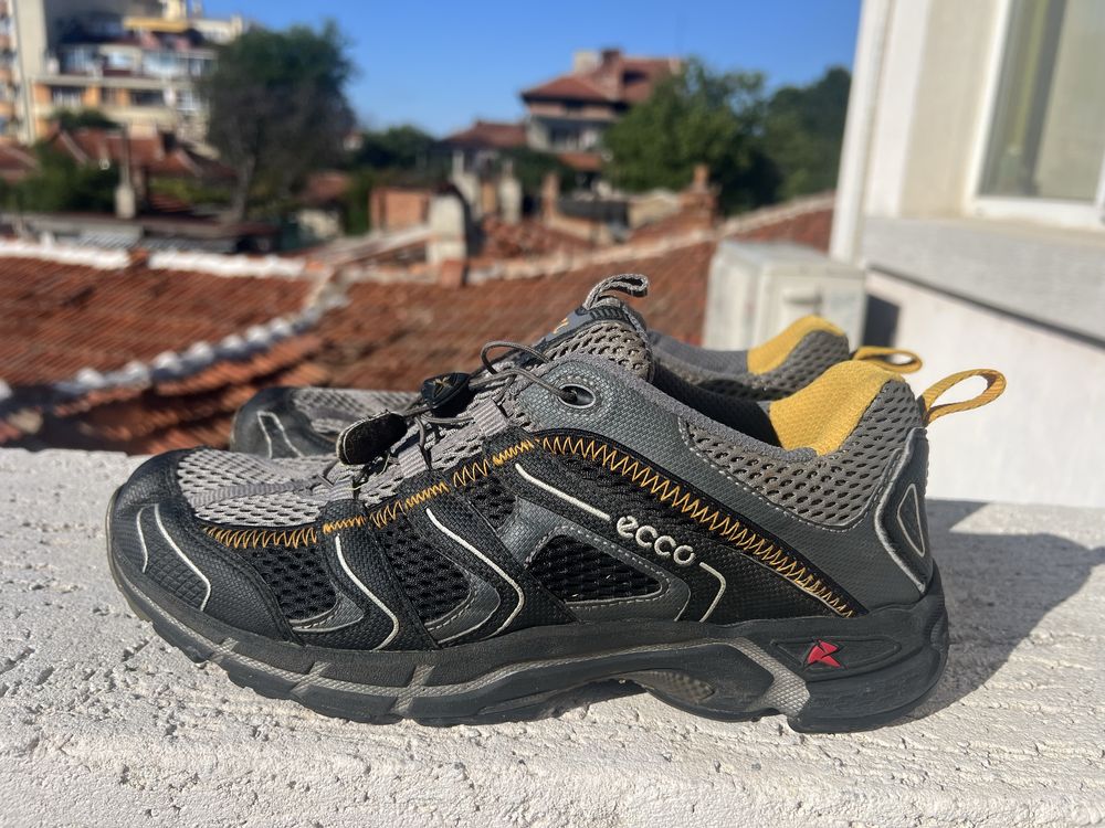Ecco Receptor 43