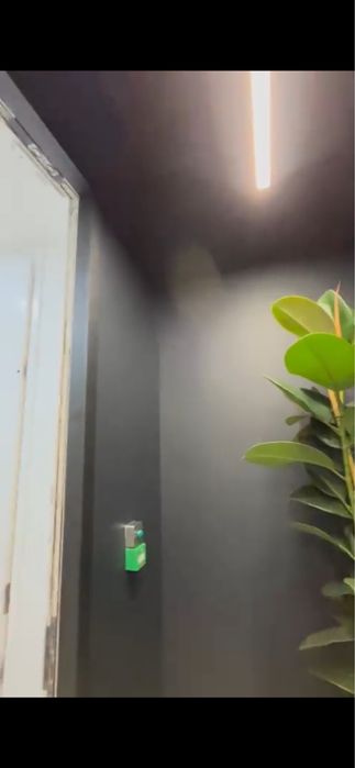 Zugrav! Ofer servicii profesionale