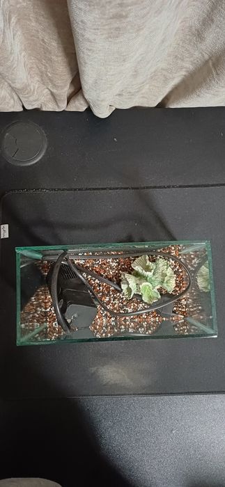 Acvariu pentru pești 3.28L