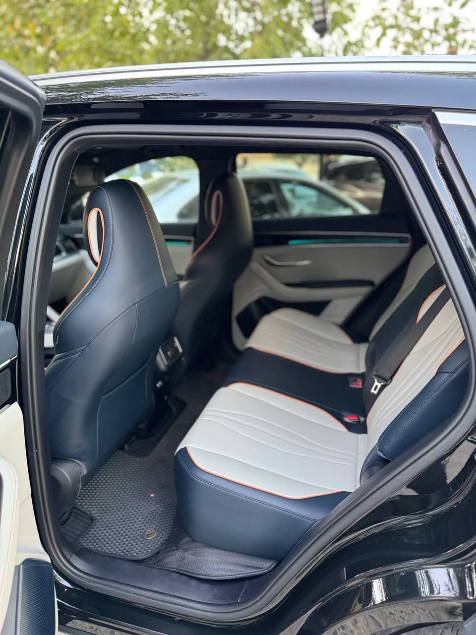 BYD yil 2024  kraskasi tozza