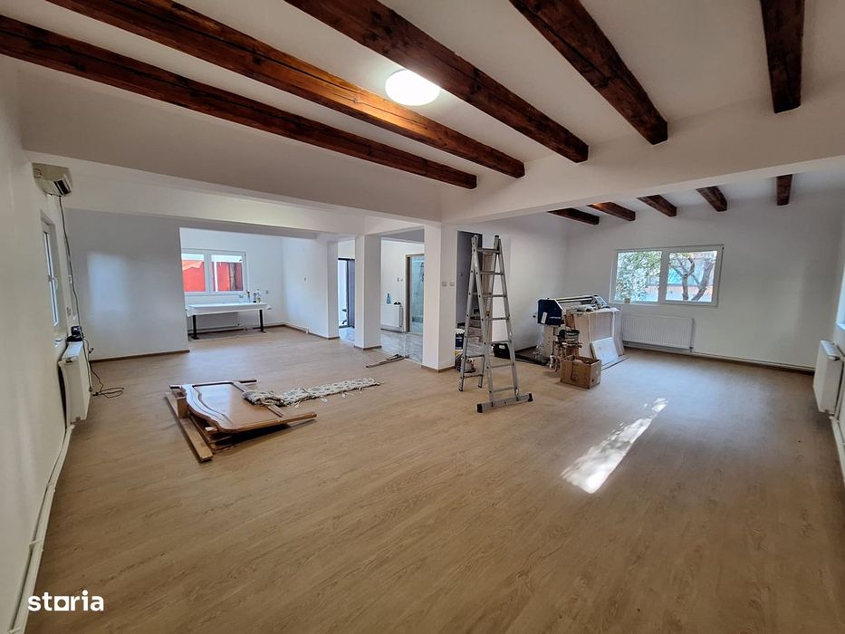 Vila 5 Camere, S + P + M + Hala Depozitare / Productie De Inchiriat