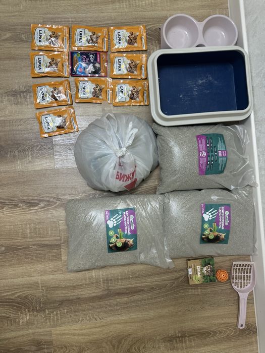 Продам набор для котенка