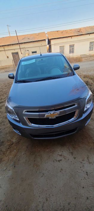 Cobalt stile msm 2026