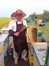 Продам мед со своей пасеки.Урожай 2023 года