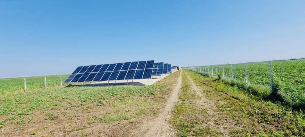 Vand afacere la cheie Ferma Zootehnica animale tauri/posibilitate rate