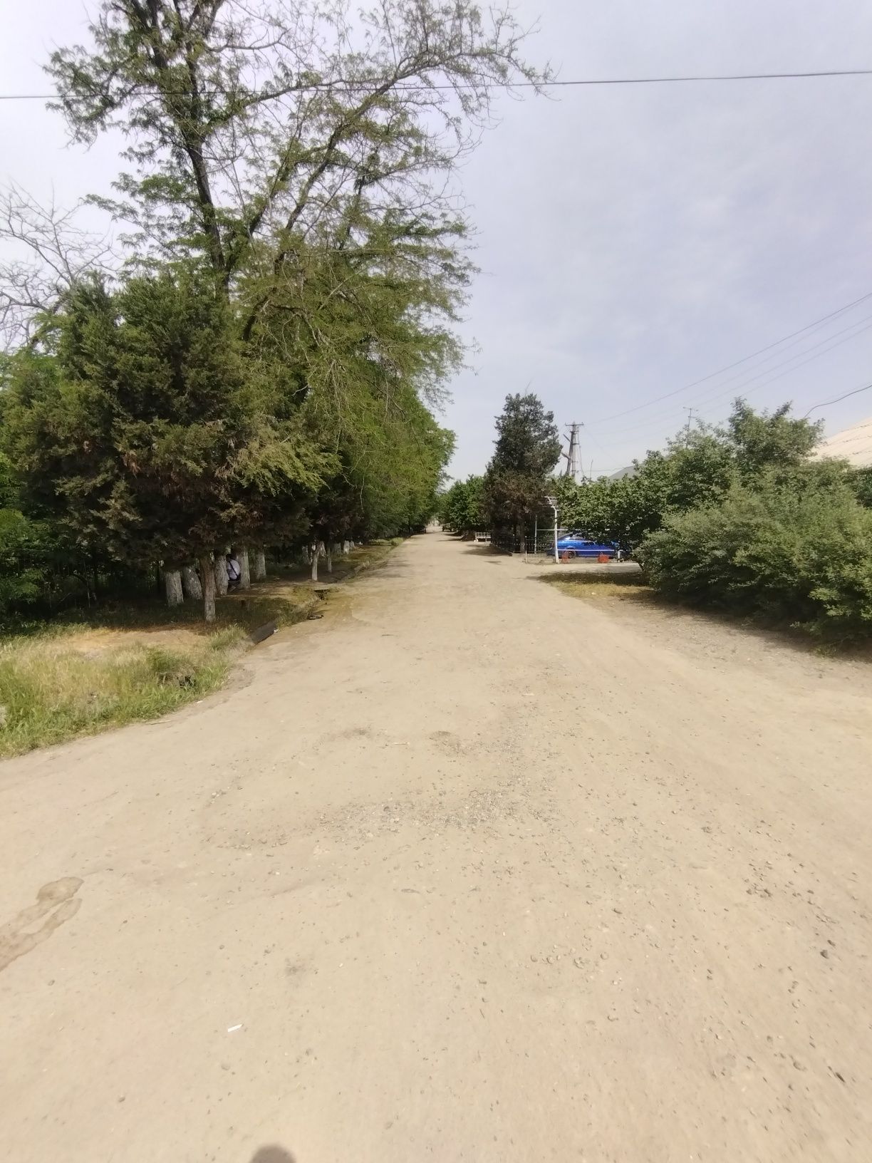 Srochna 3 sotix joy sotiladi futsitiyga 20 km