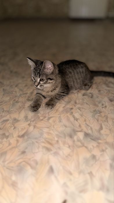 мейірімді жан болса)))