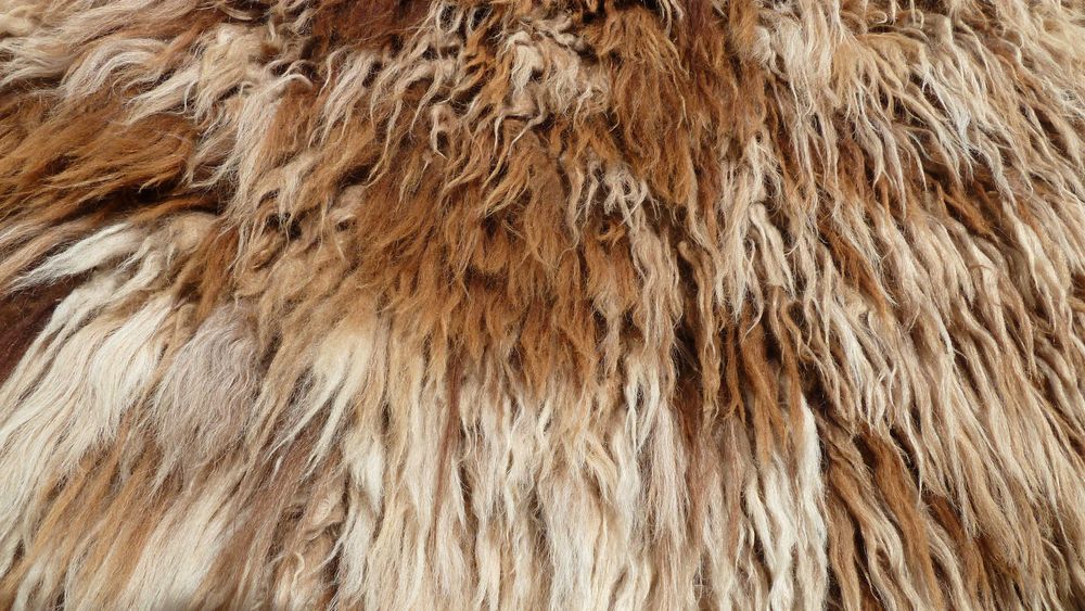 Китеник/ Губер/ Халище