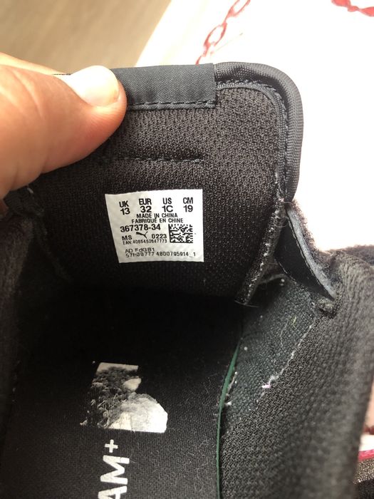 Addasi puma noi nr 32