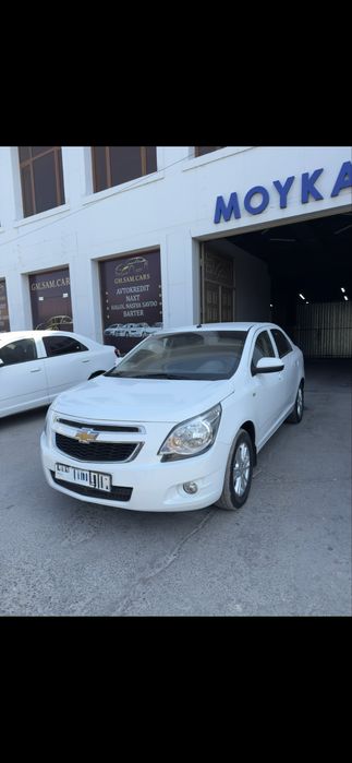 Kobult srochno sotiladi