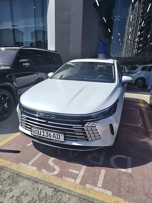 Byd chazor chempion 55 talik