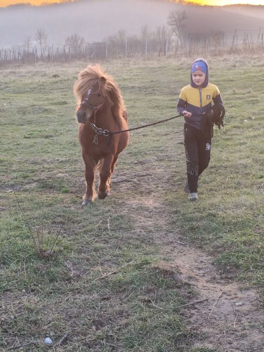 De vânzare foarte cuminte