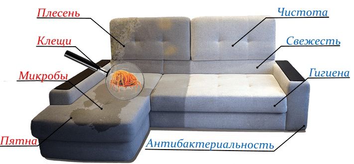 Gilam va mebel ximchistkasi