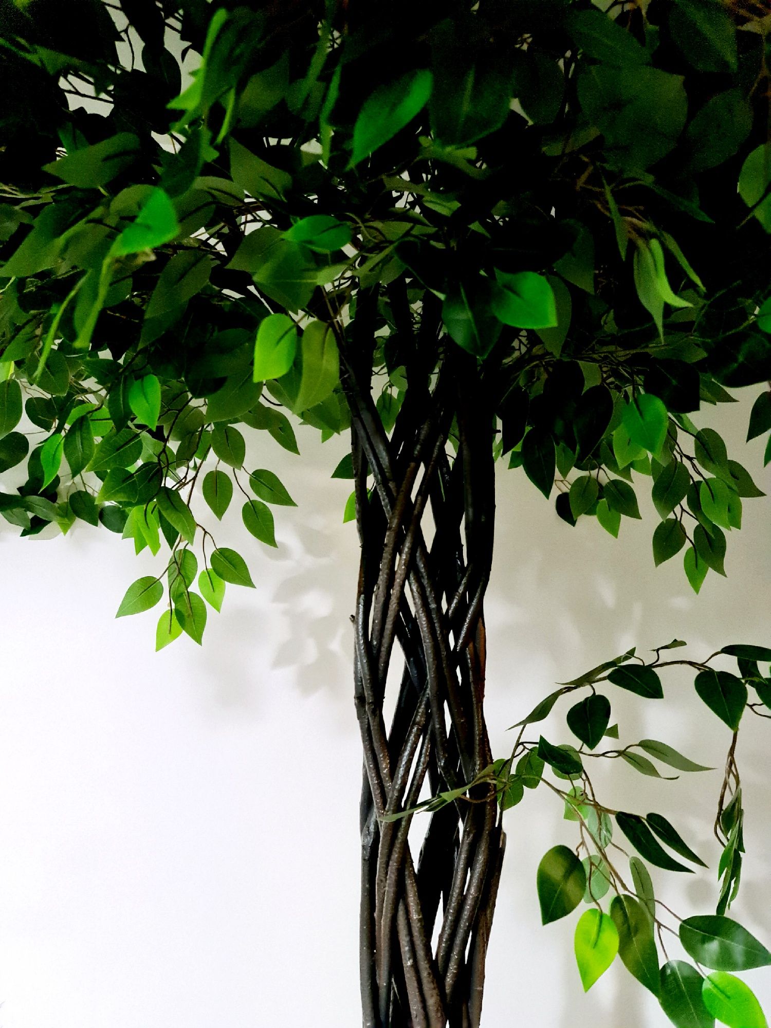 Plante artificiale - Ficus artificial
