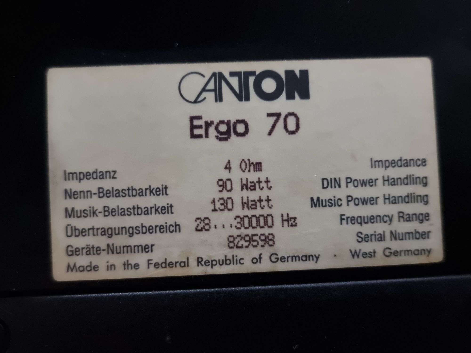 Тонколони Canton Ergo 70