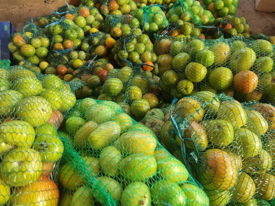 Gogonele vrezi pt muraturi