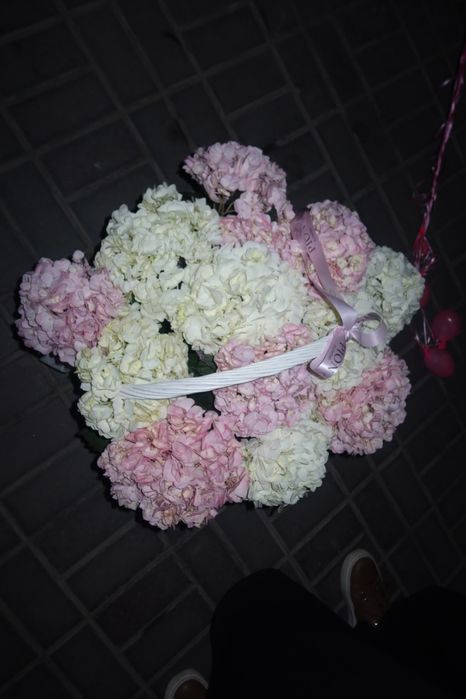 Свежая большая корзина гортензий,подаренная вечером.В подарок 4 шари