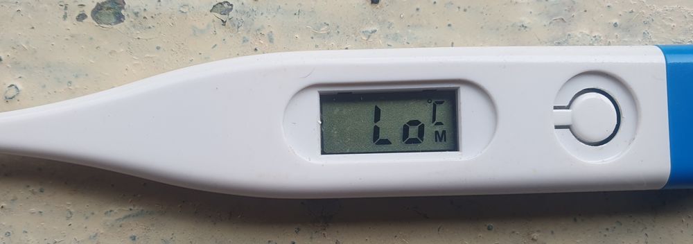 Termometre sticla / 3 buc.