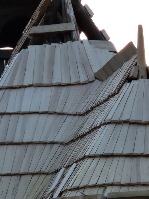 Dranita ,șita ,sindrila horjita .de la 30cm pana la 90 cm