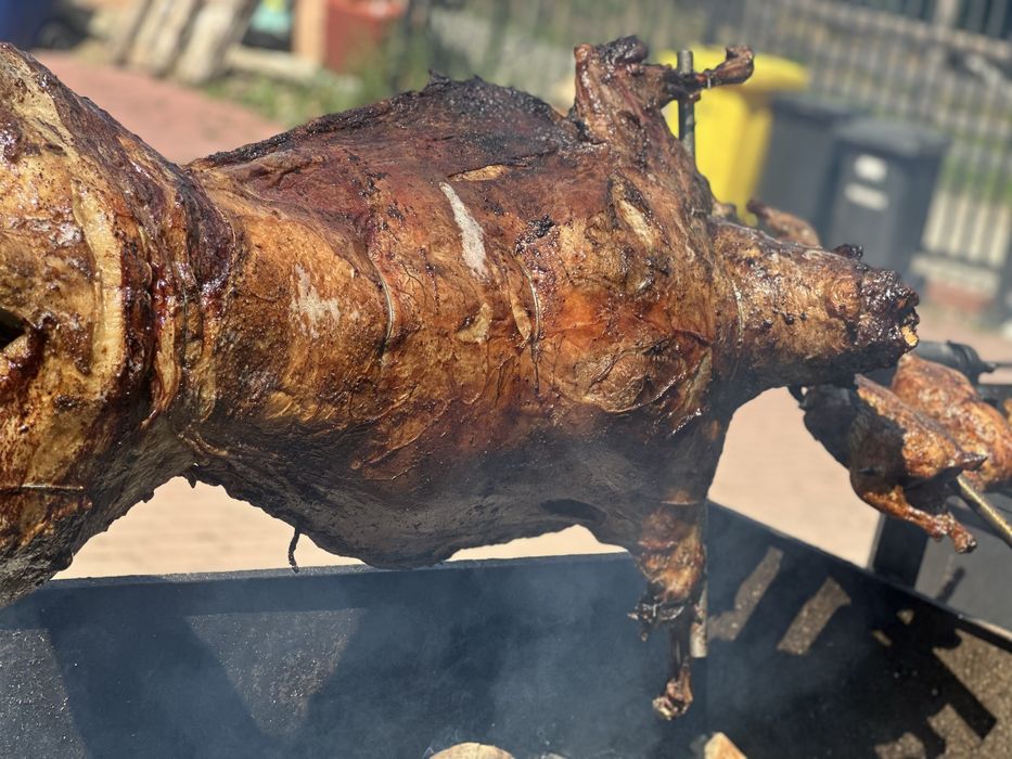 Protap de porc , berbecut, vitel