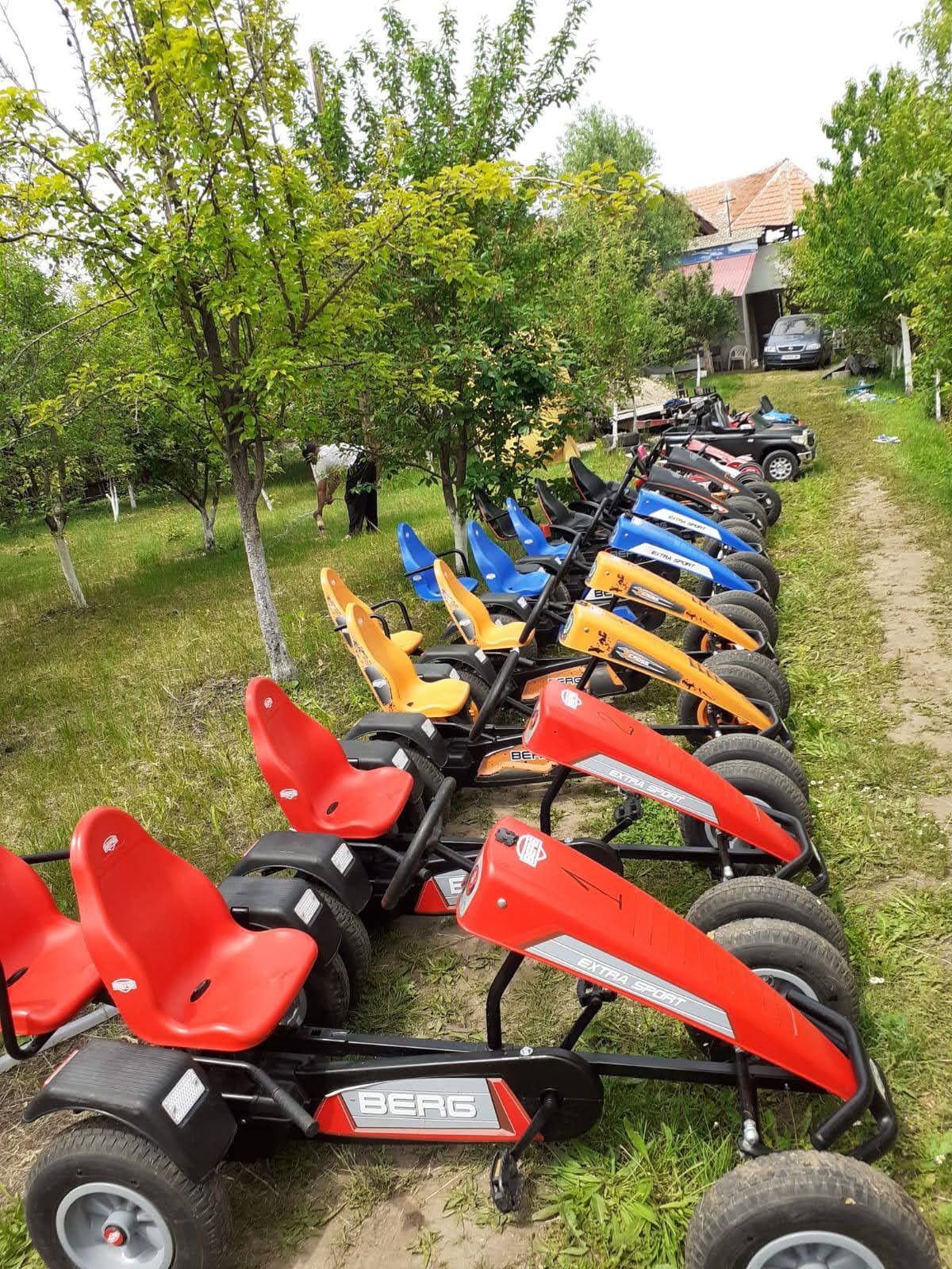 Kart cu pedale Berg