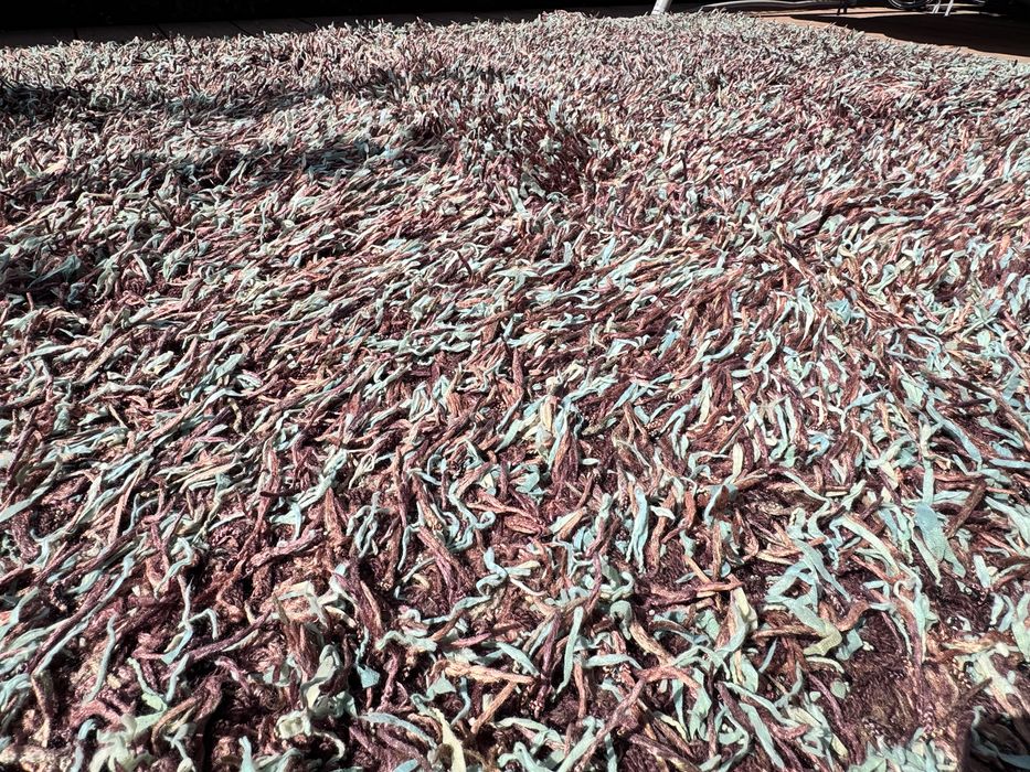 Килим Stepevi 200х290