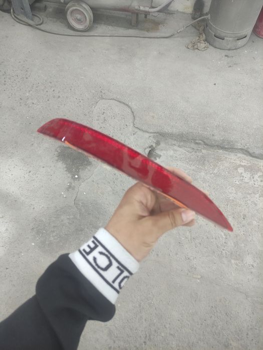 Ekinox orqa banfer qalampir