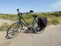 Sachs sparta30cc