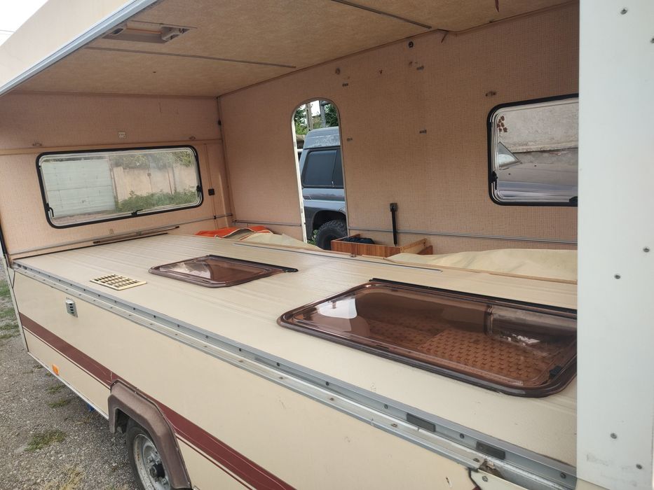 Esterel pliabila plianta