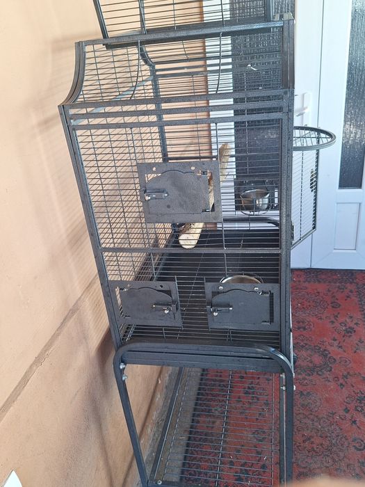 Vand colivie , voliera, cusca pentru pasari  papagali