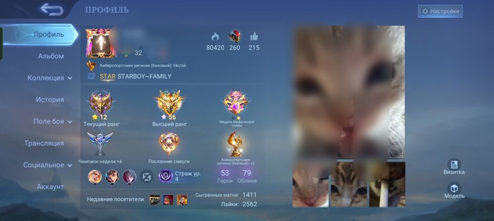 Акк в мобайл легендс топовый для игры