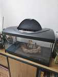 Acvariu pesti 60L