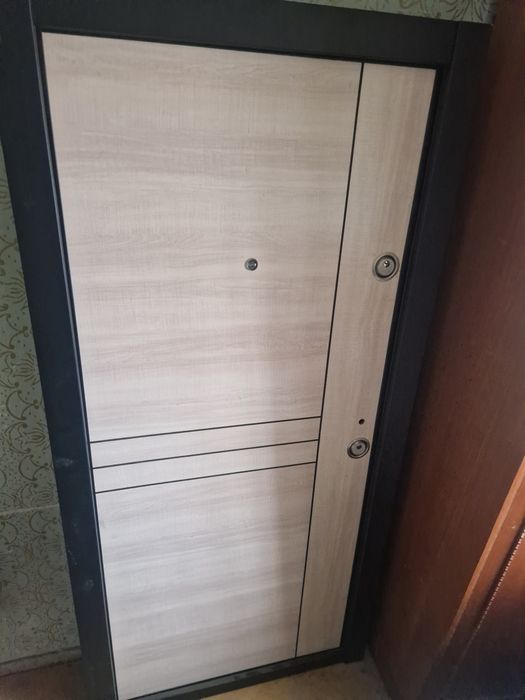 Ușă intrare Bloc 207/100