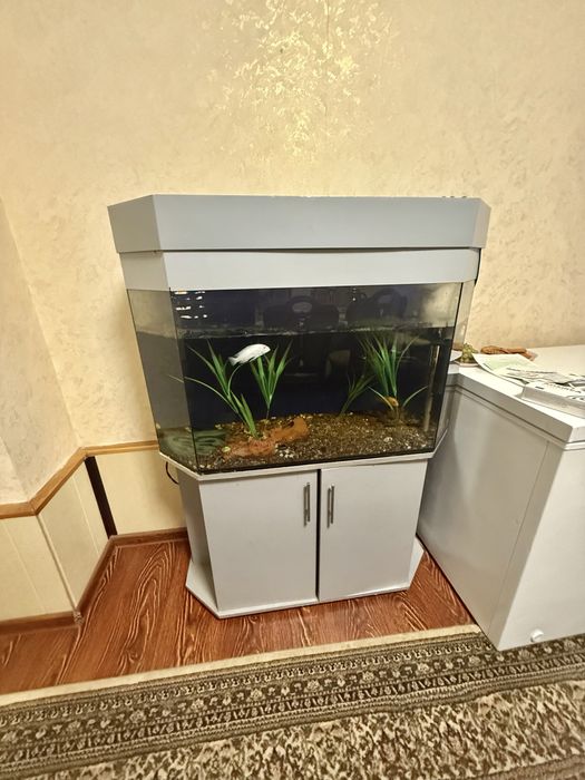 Akvarium 200 litr