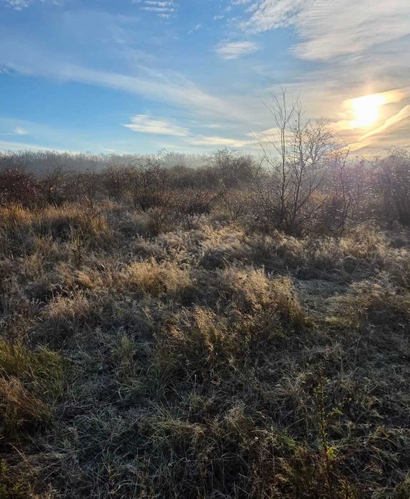 Teren 5 755 mp intravilan de vanzare urgent 8 Euro per metru patrat