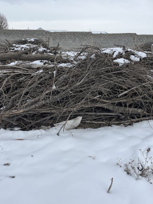 Драва пр ся Отын