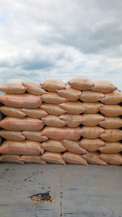 Vindem cereale din campania 2025