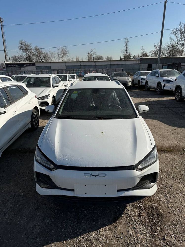 Byd e2 notariusga tayyor
