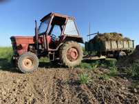 De vanzare fiat 445