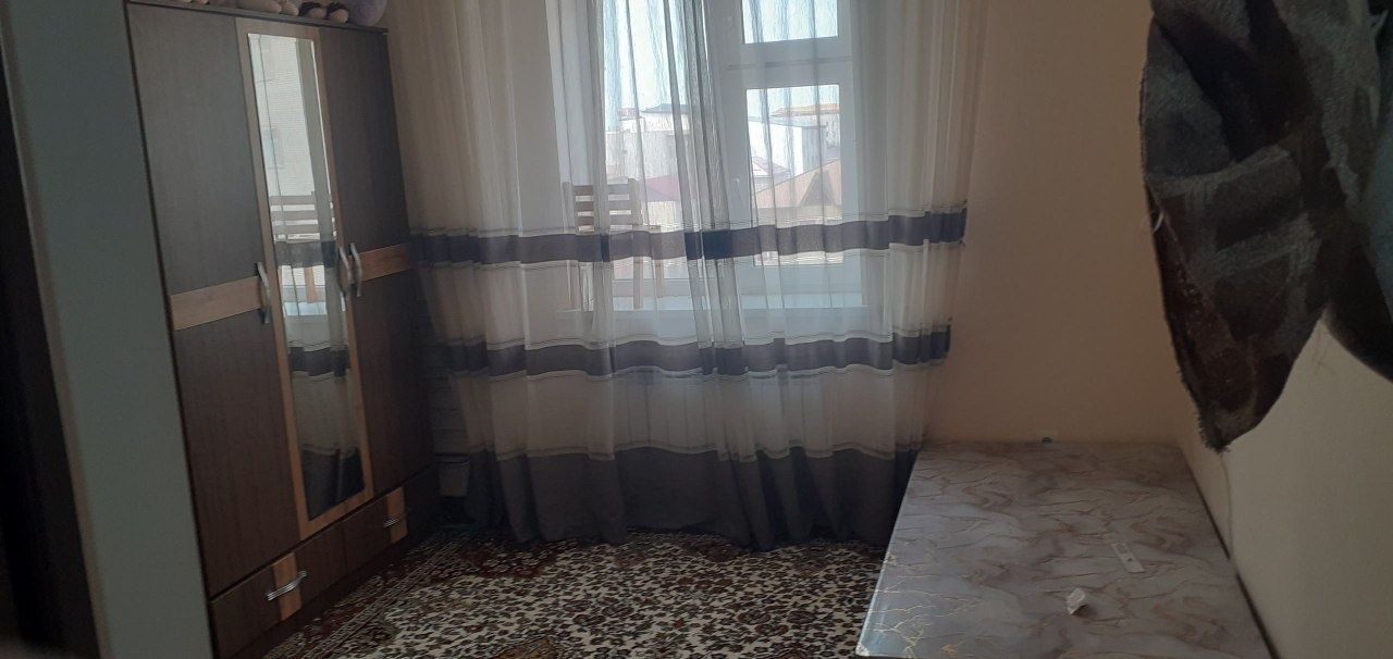 Квартира транспорт коллеж