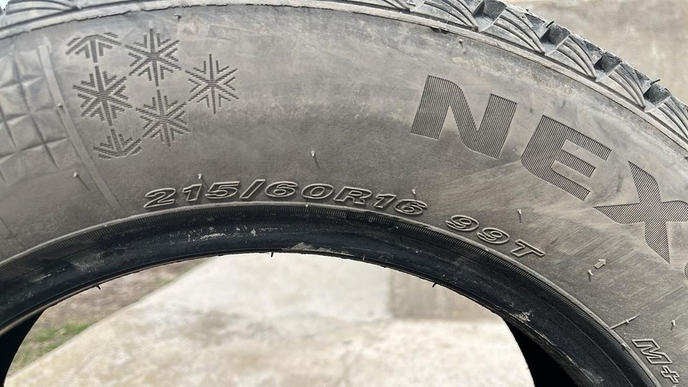 Зимный балон нексен