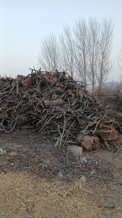 Oʻtin sotiladi tez va arzon