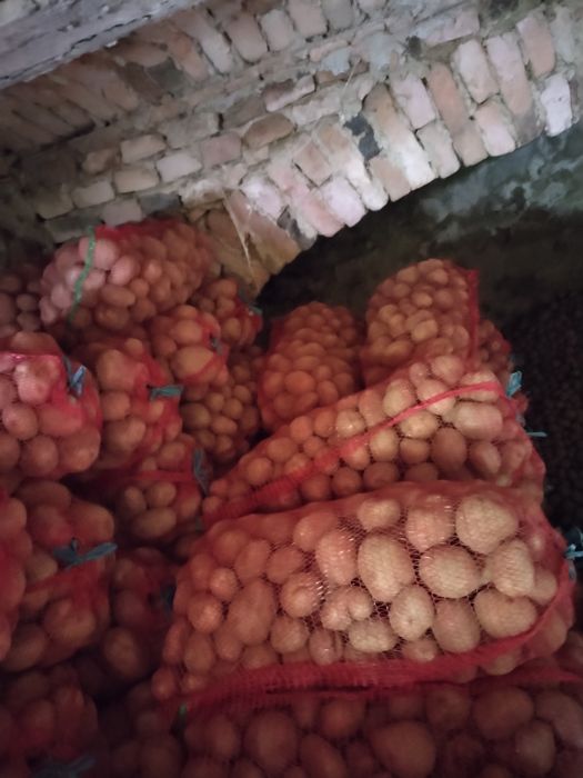 Cartofi roși de consum