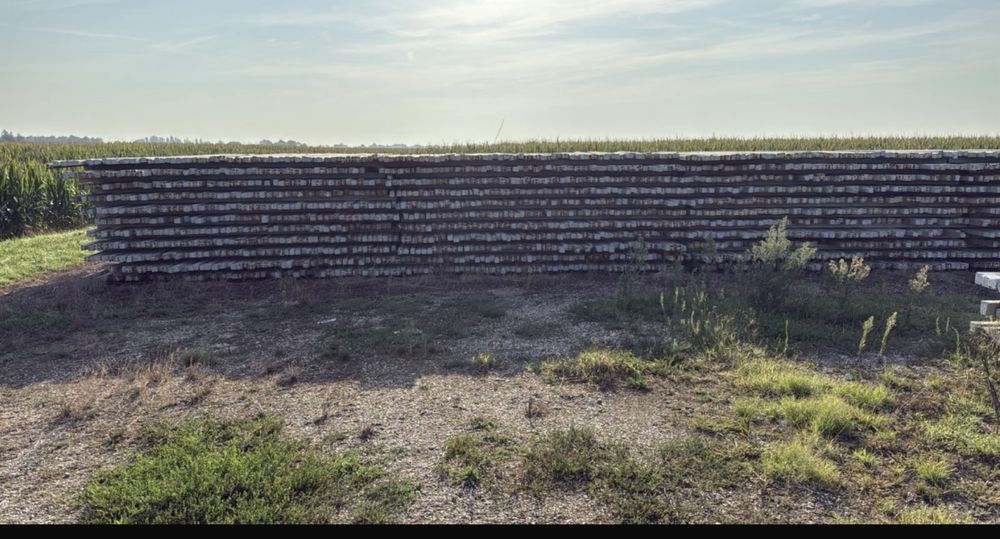 Stâlpi beton / spalieri gard