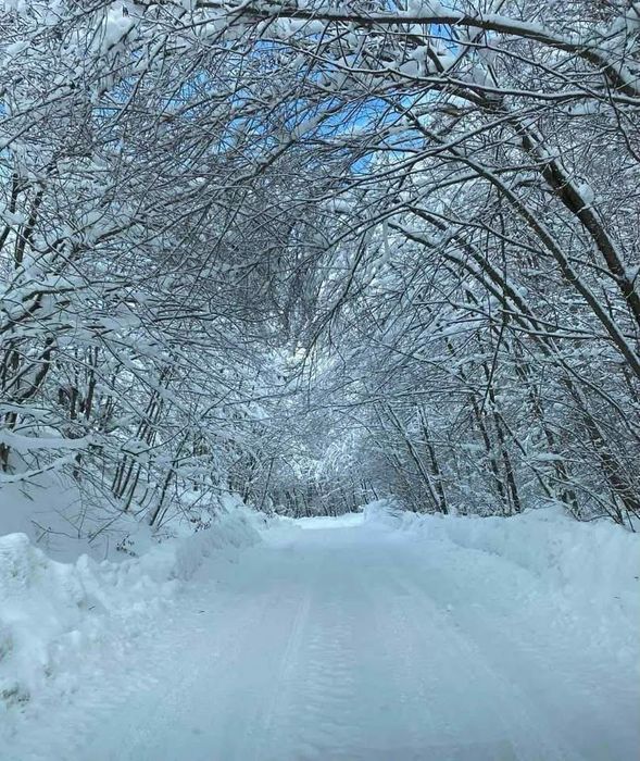 Cabana de închiriat - Maramureș