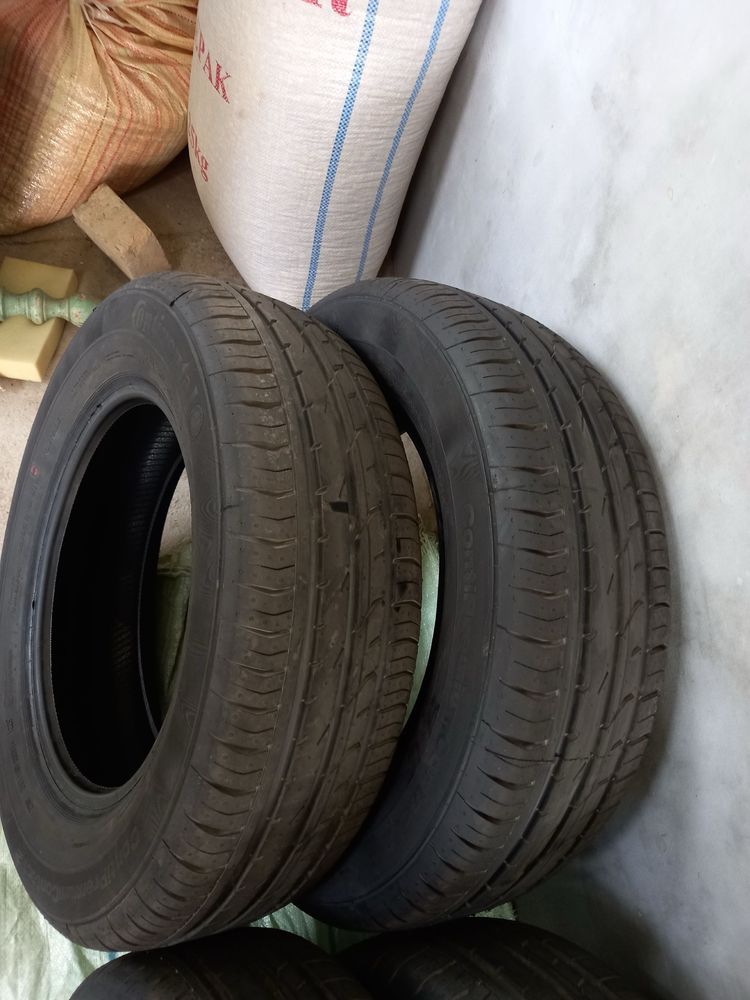Cobalt bolan yengi