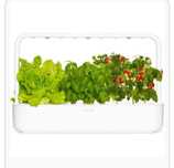 Ghiveci inteligent / smart garden - Click and Grow 9