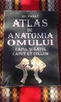 Atlas de Anatomia Omului - Capul si Gatul, Ion Pasat