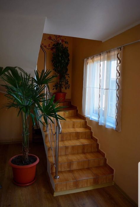 Cazare Calimanesti-Caciulata