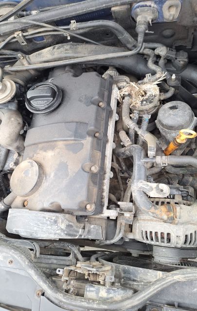 Radiator racire ulei Volkswagen VW Passat B5